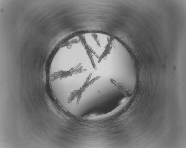 X0000062920584200602031924