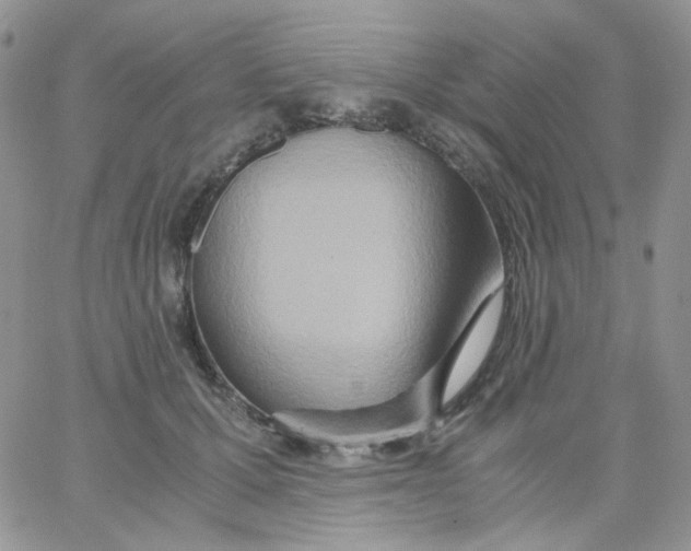 X0000062920607200602031924