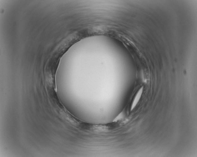 X0000062920617200602031923