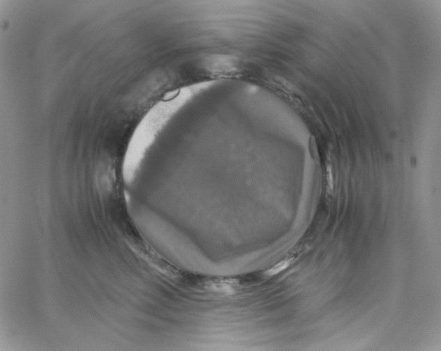 X0000062920618200602031923