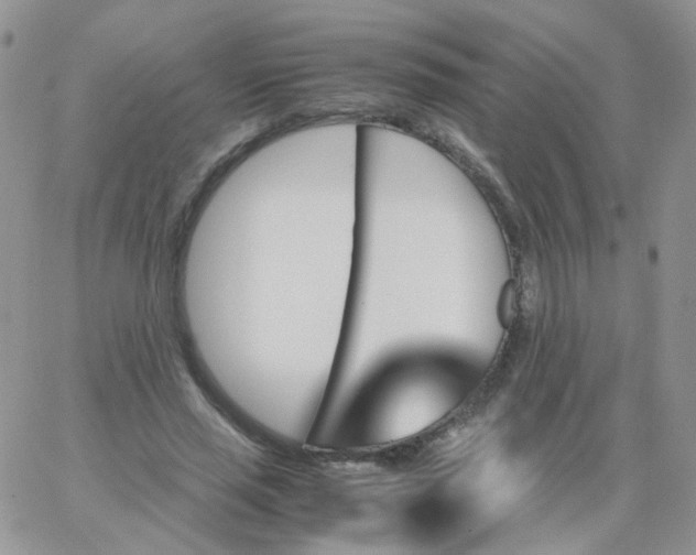 X0000062920637200602031923