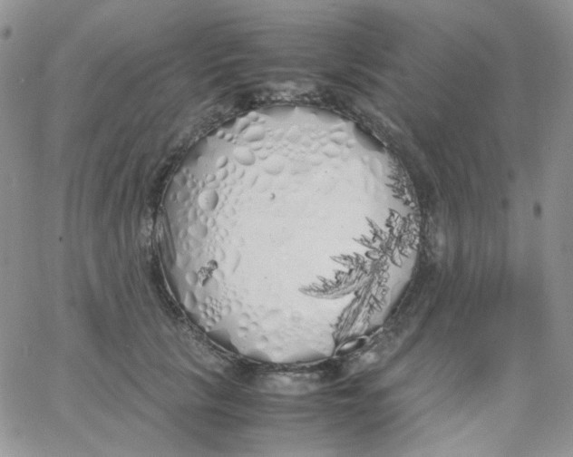 X0000062920657200602031923