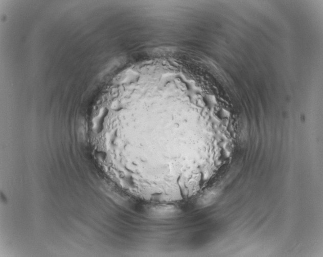 X0000062920669200602031923
