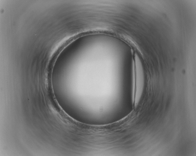 X0000062920676200602031922