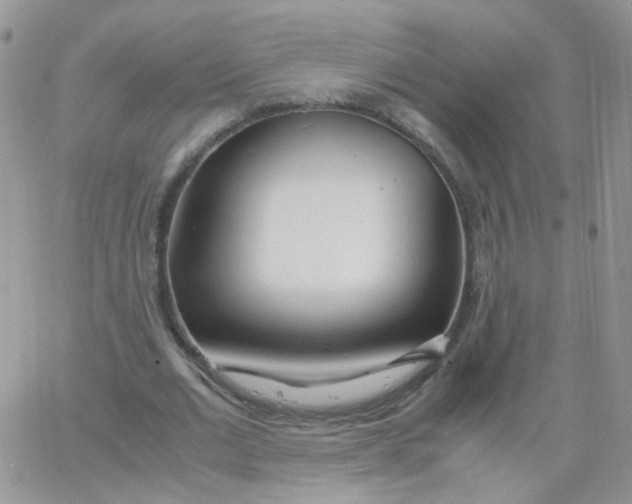 X0000062920677200602031922