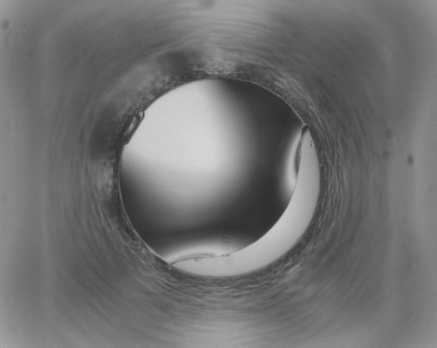 X0000062920697200602031922