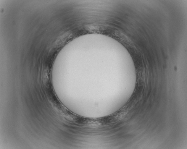 X0000062920702200602031922