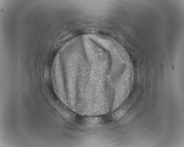 X0000062920711200602031922