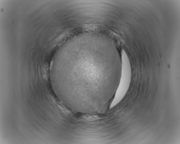 X0000062920712200602031922