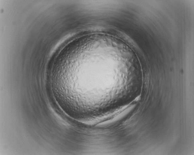 X0000062920722200602031921