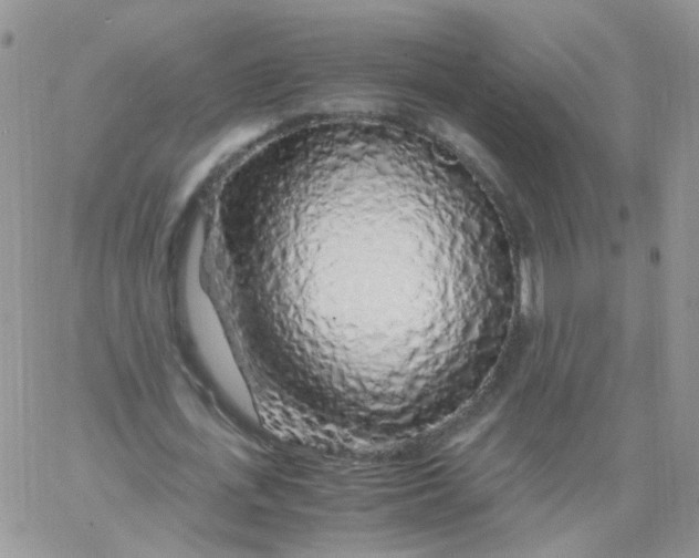 X0000062920723200602031921