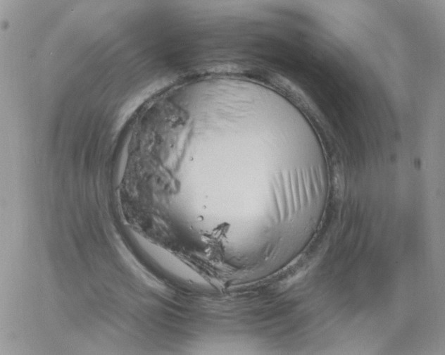 X0000062920725200602031921