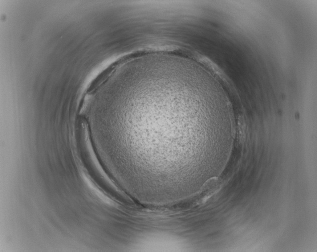 X0000062920726200602031921