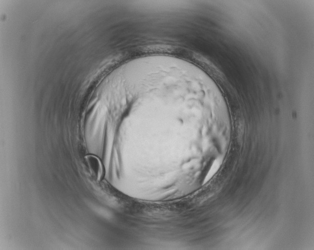 X0000062920729200602031921