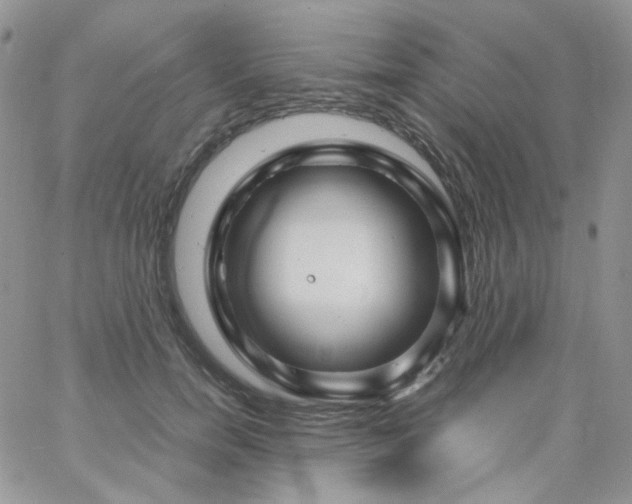 X0000062920750200602031921