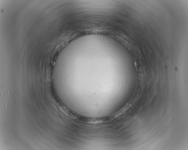 X0000062920760200602031922