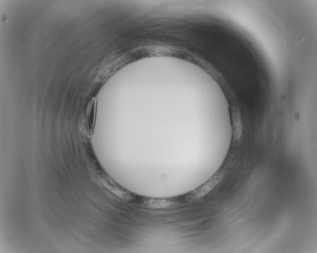 X0000062920766200602031922