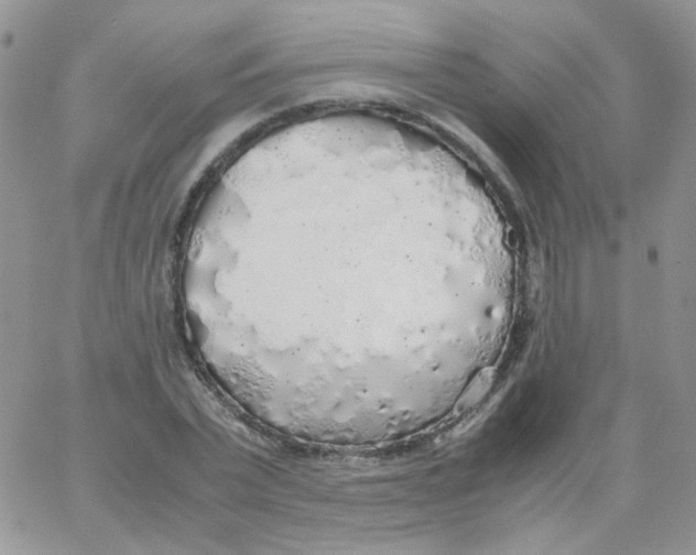 X0000062920783200602031921