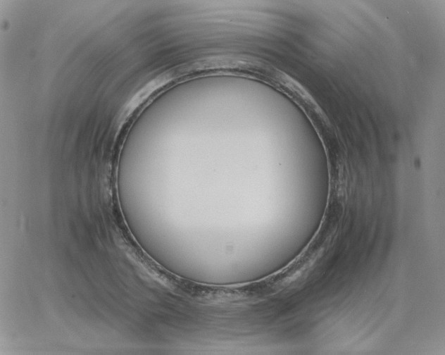 X0000062920786200602031921