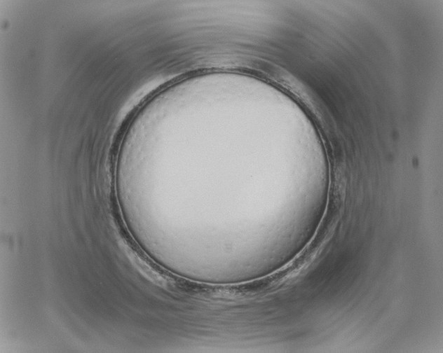 X0000062920787200602031921