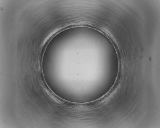 X0000062920789200602031921