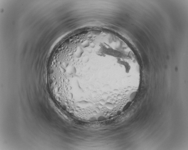 X0000062920791200602031920