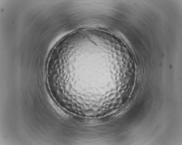 X0000062920795200602031920
