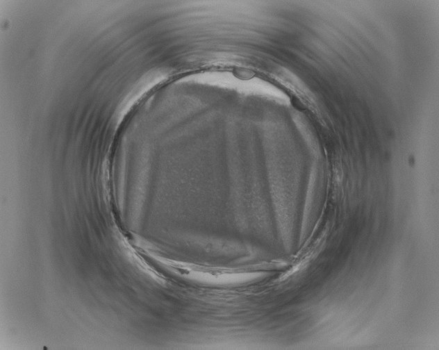 X0000062920798200602031920