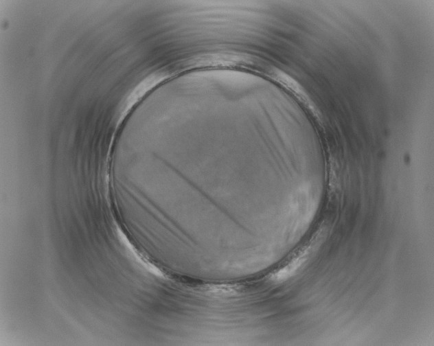 X0000062920802200602031920