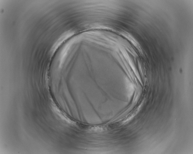 X0000062920806200602031920