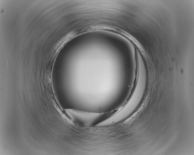 X0000062920809200602031920