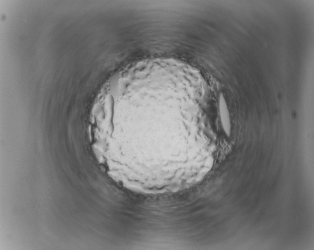 X0000062920817200602031919