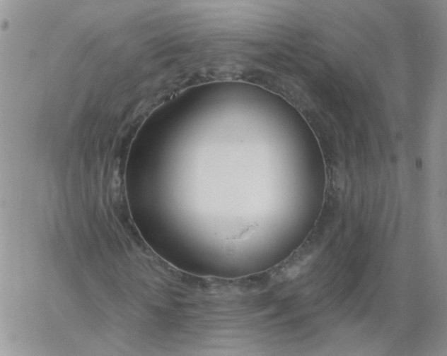 X0000062920818200602031919