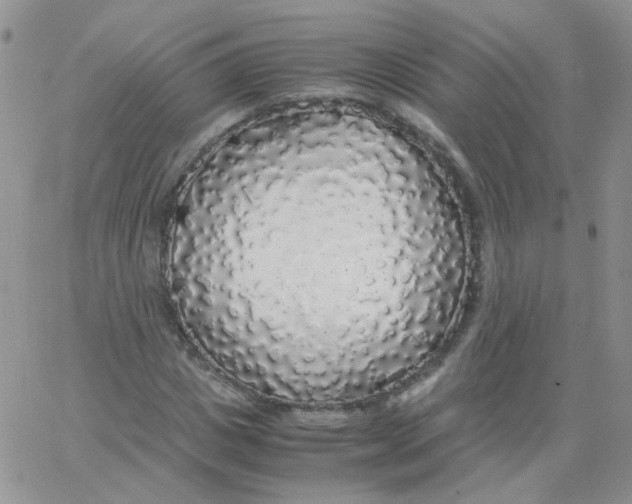 X0000062920825200602031919