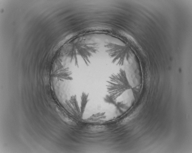 X0000062920833200602031920