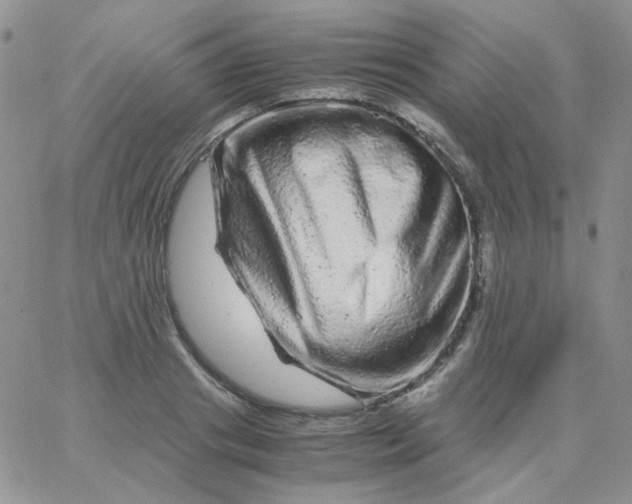X0000062920841200602031920