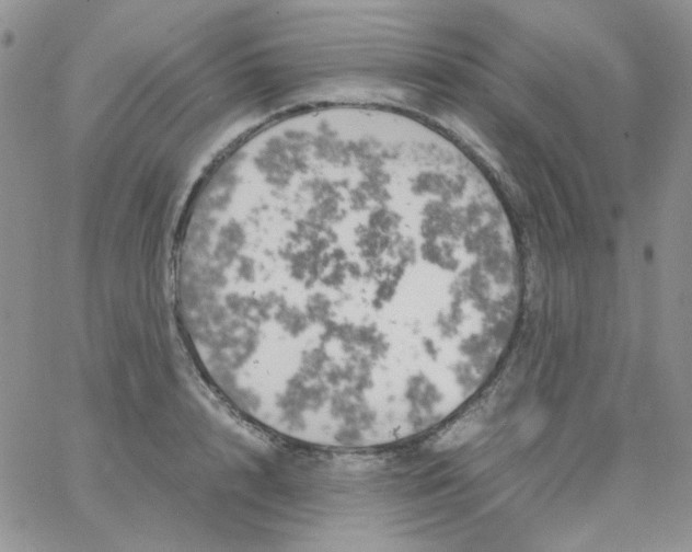 X0000062920848200602031920