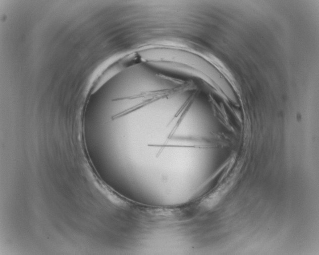 X0000062920862200602031920