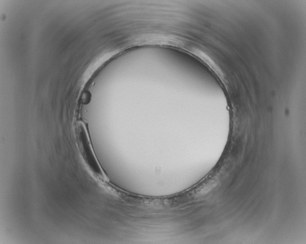 X0000062920901200602031919