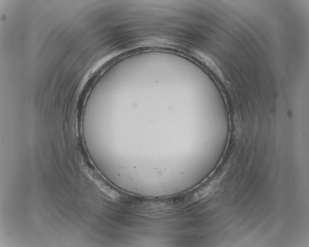 X0000062920931200602031918