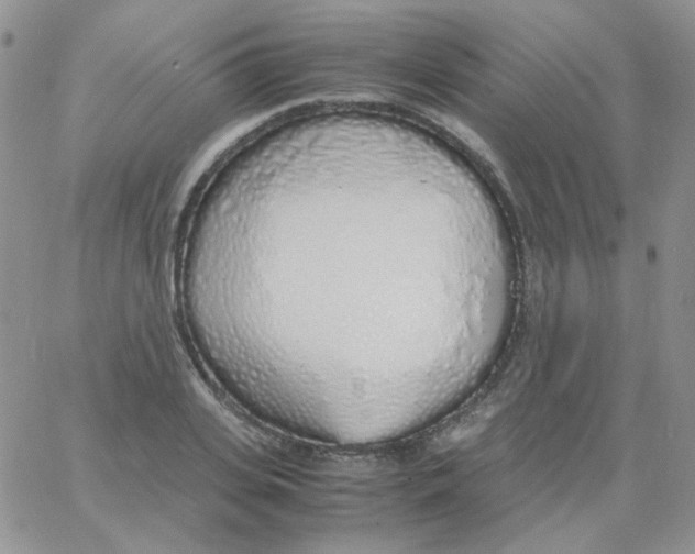 X0000062920935200602031918