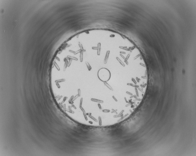 X0000062920950200602031918