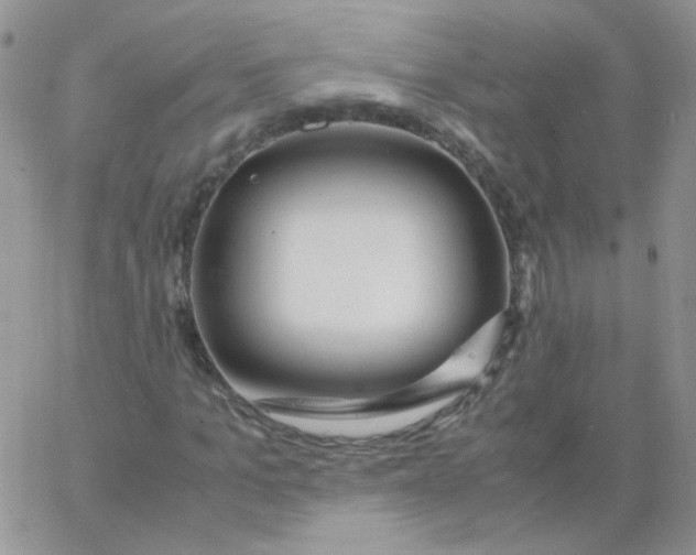 X0000062920965200602031918