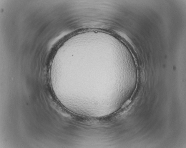X0000062920971200602031918