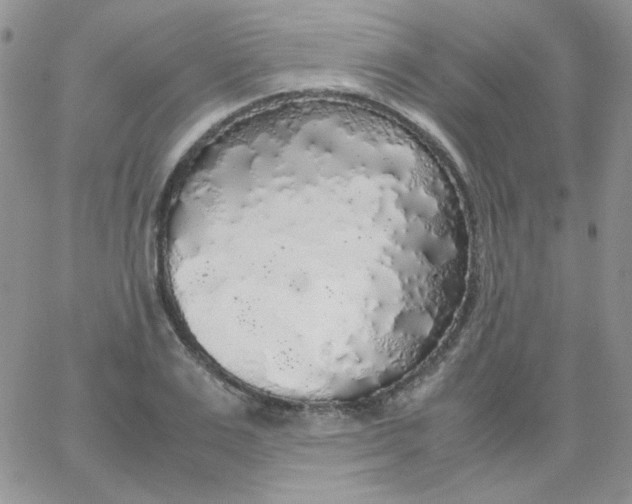 X0000062920983200602031917