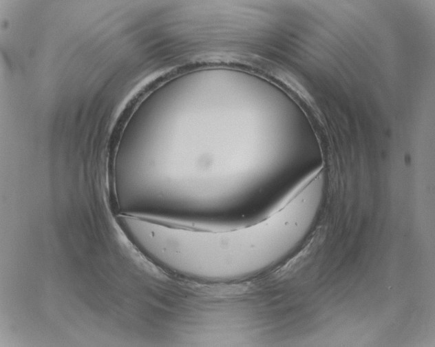 X0000062920984200602031917