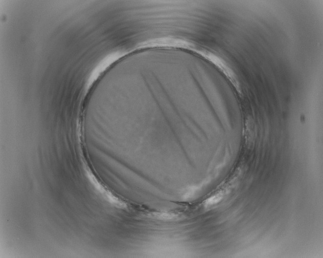 X0000062920998200602031917