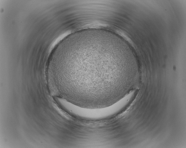 X0000062921026200602031916