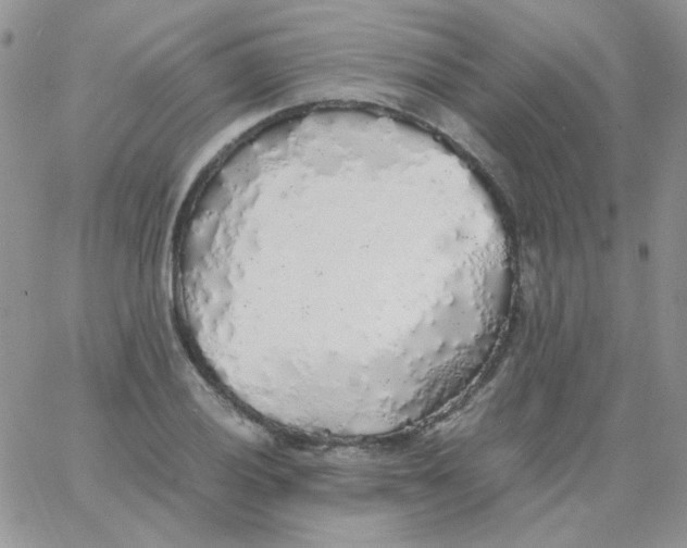 X0000062921028200602031917