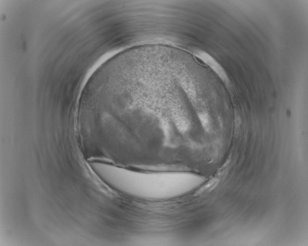 X0000062921052200602031917